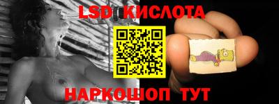 индика Славгород
