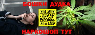 индика Славгород