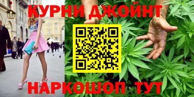 индика Славгород