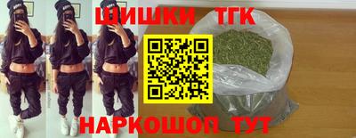 индика Славгород