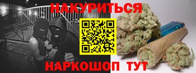 индика Славгород