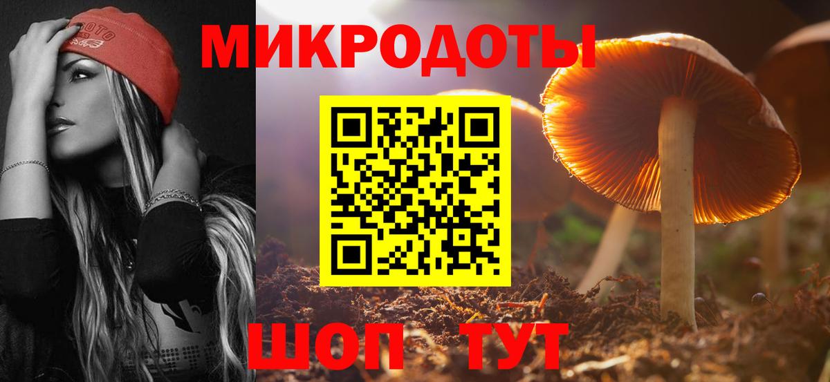 Псилоцибиновые грибы ЛСД Новокубанск