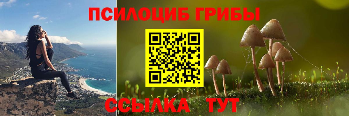 Новокубанск  Галлюциногенные грибы ЛСД  Вход с VPN  Галлюциногенные грибы Psilocybe 